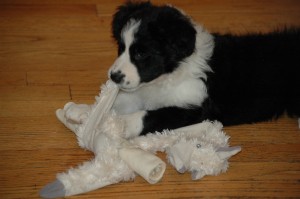 Fayette multitasking