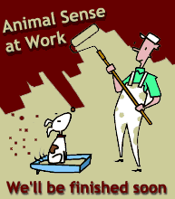 Animal Sense at Work