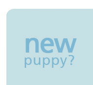 New Puppy?