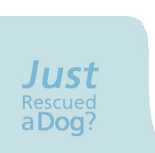 Just Rescued a Dog?
