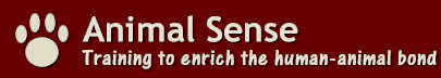 Animal Sense - Training to enrich the human-animal bond - Chicago, Illinois