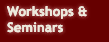 Workshop and Seminars