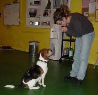 Pickles and Jamie in watchme