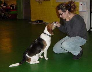 Pickles and Jamie in watchme