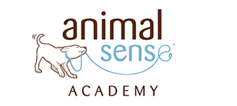 Animal Sense, Canine Training & Behavior